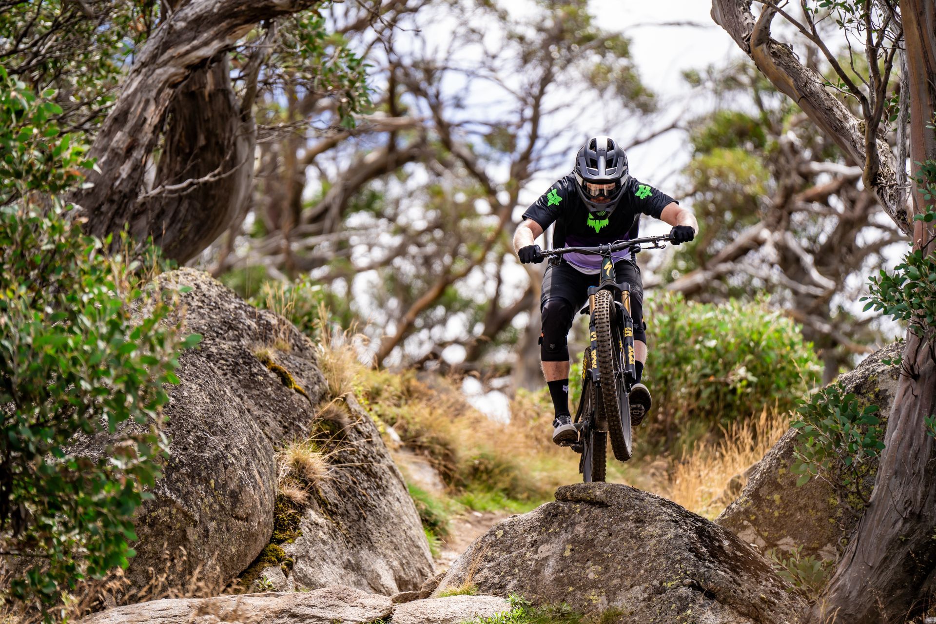 A man is riding a mountain bike down a trail in the woods.