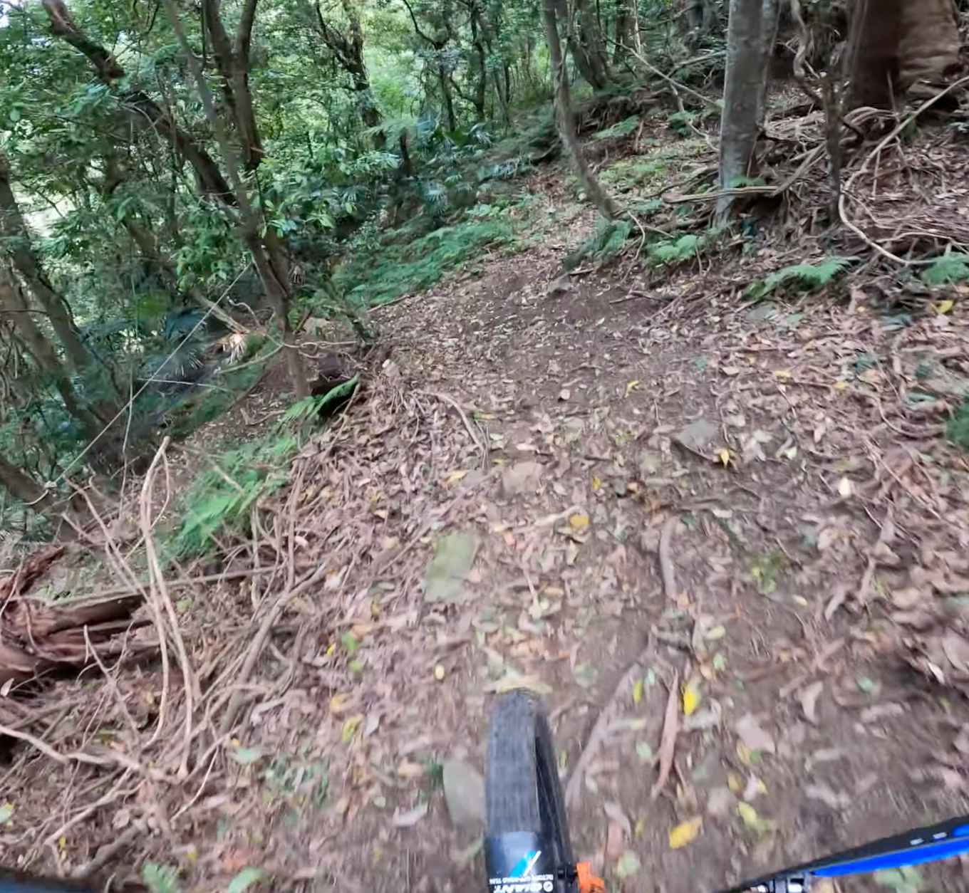 A person is riding a bike down a trail in the woods.