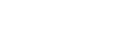 Blank white image with a thin black strip along the bottom edge.