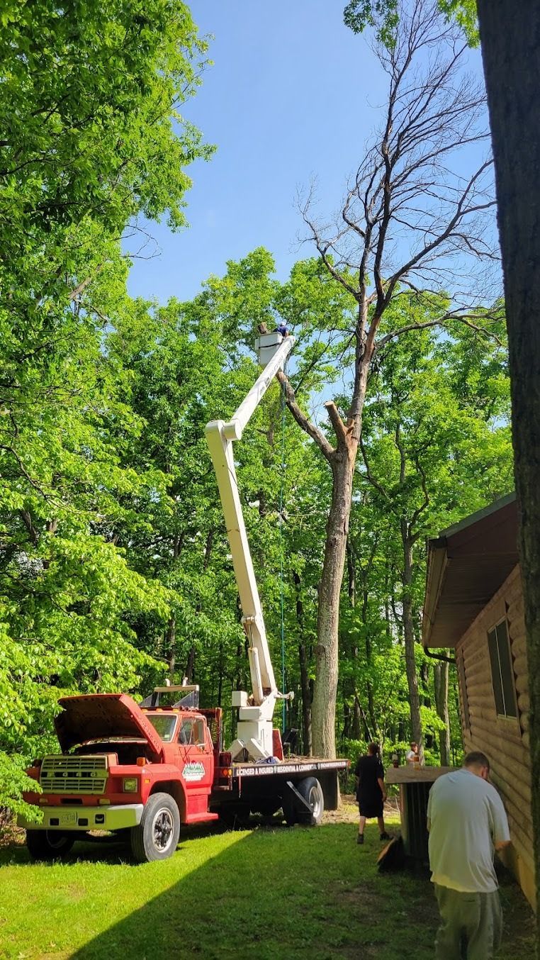 Red utility truck with bucket lift trimming a tall tree in a wooded yard beside a house
