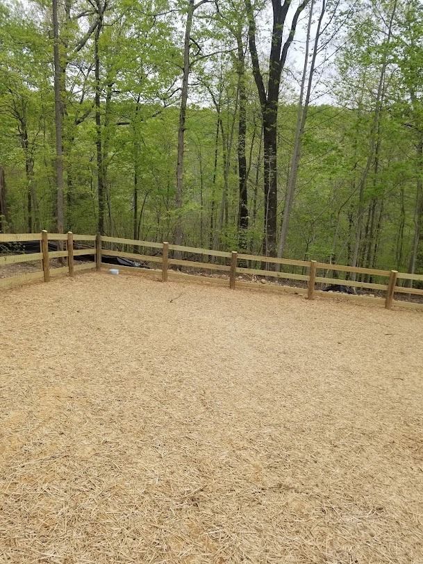 Gravel viewing platform with wooden railings overlooking a leafy forest in spring