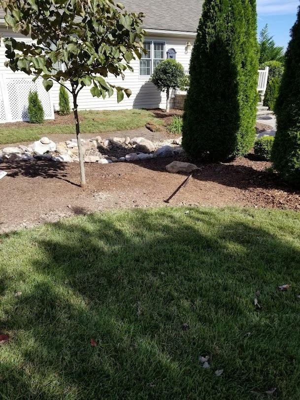 Landscaped front yard with grass, mulch, trees, rocks, and a house in the background