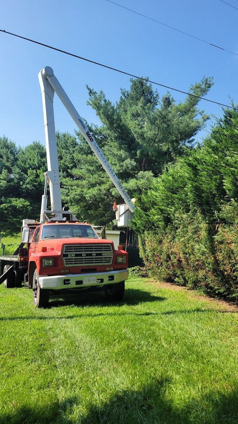 Bucket truck trimming trees along a grassy roadside under a clear blue sky