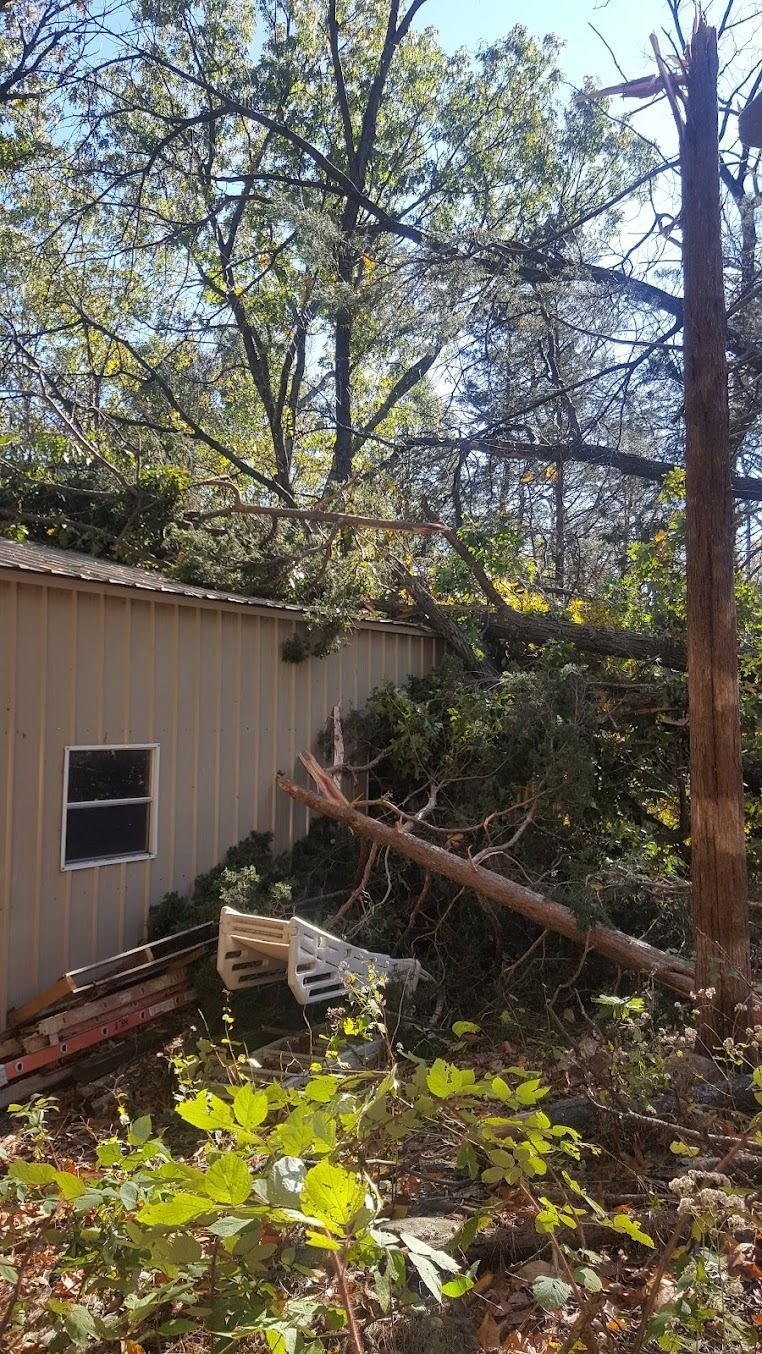 Backyard with a fallen tree leaning against a beige building beside a utility pole