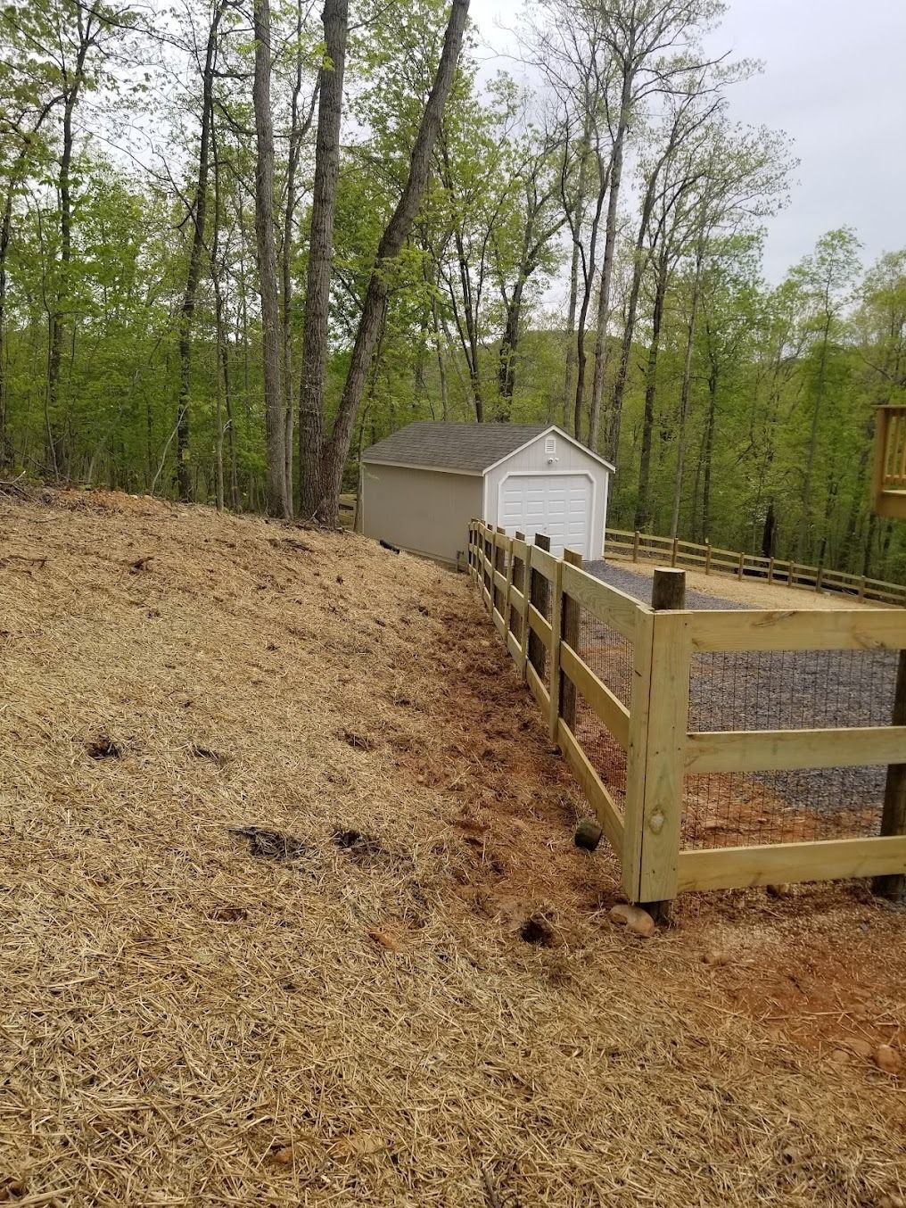 Wooded backyard with mulch-covered slope, wooden fence, and two sheds under bare spring trees.
