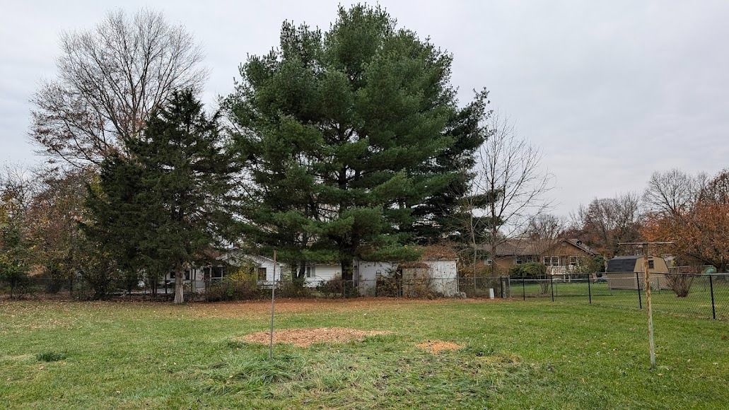 Grassy field with two large trees under a cloudy sky, bordered by bare shrubs and a fence