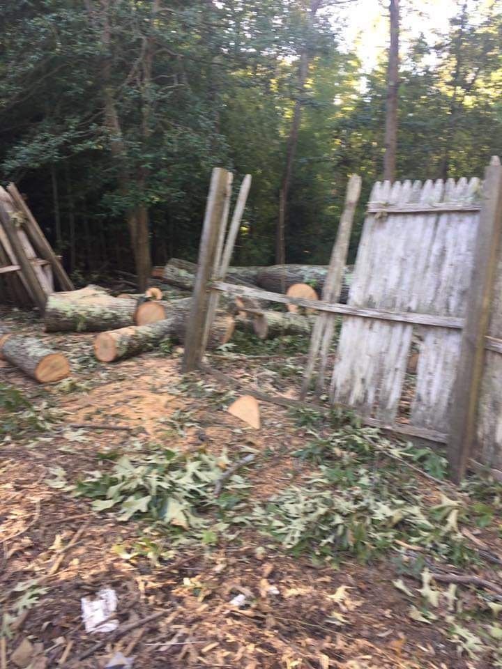 Cleared wooded yard with stacked logs, cut branches, and a weathered wooden fence system.