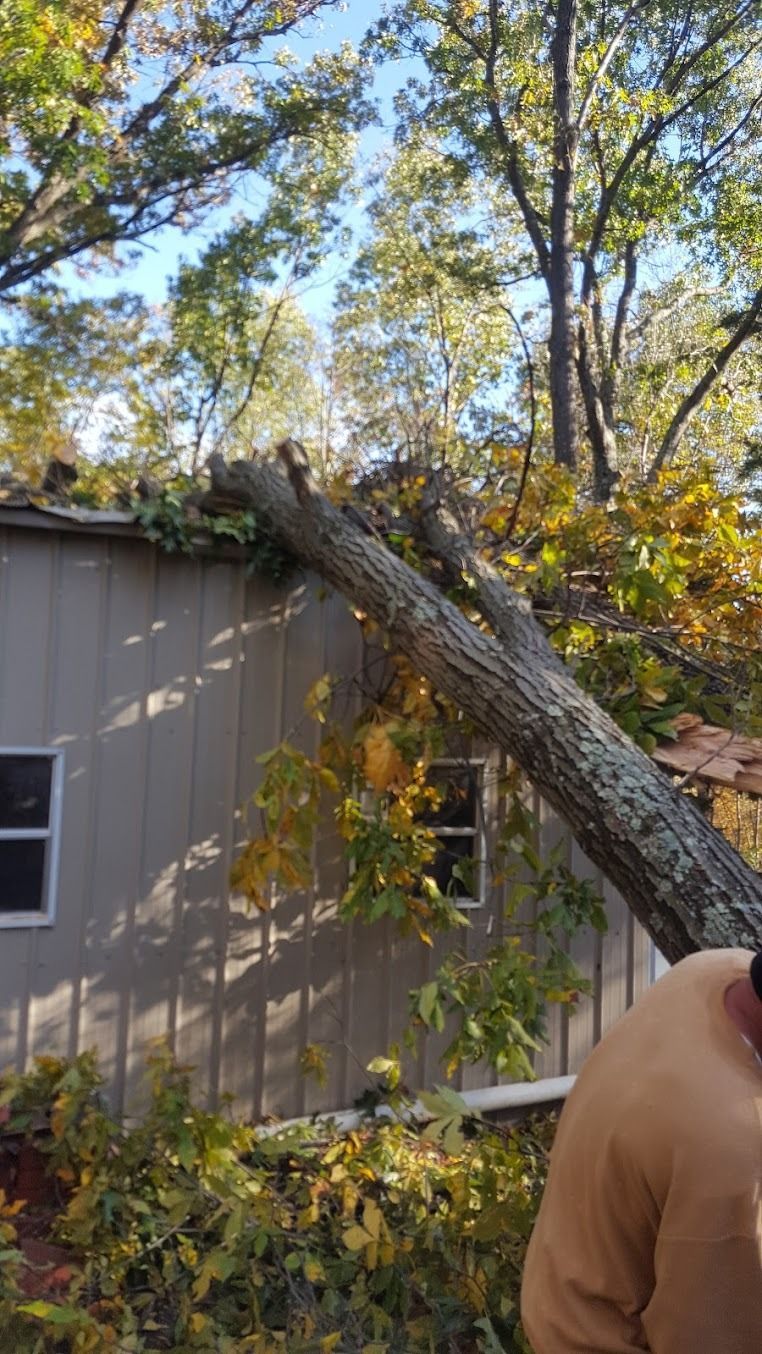 Person holding a large fallen tree limb against a house amid yard debris and autumn trees