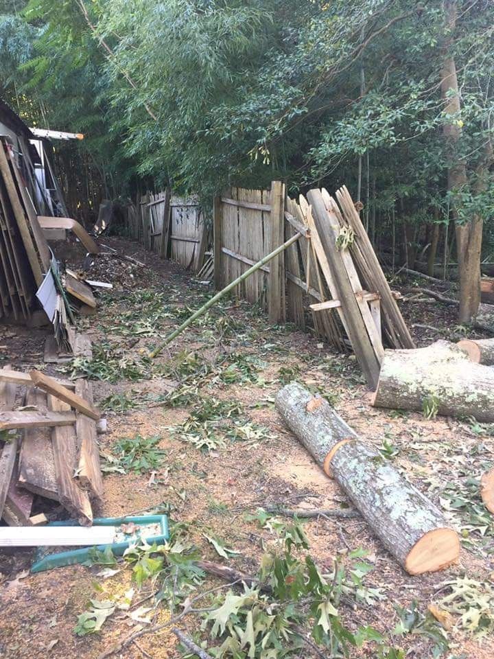 Debris-strewn yard with cut logs, lumber, and a leaning fence under dense trees