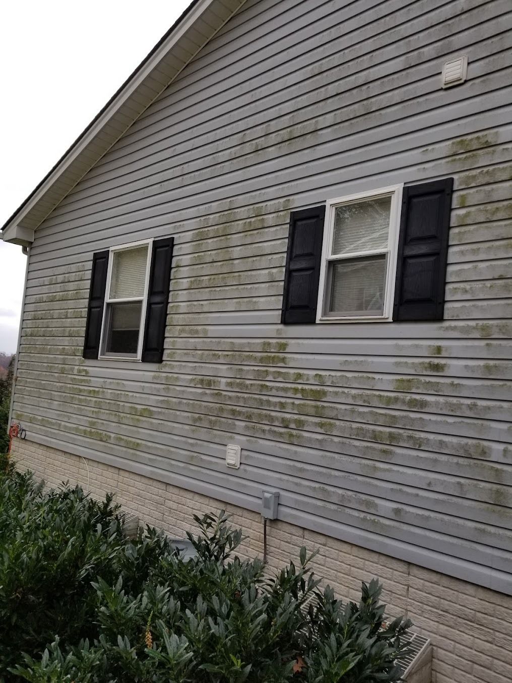 Side of a gray house with two windows and black shutters, showing green shrubs along the foundation.