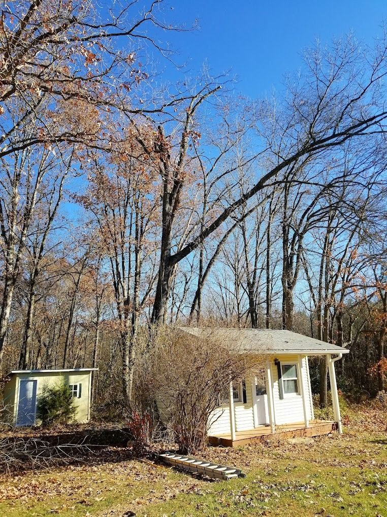 Small white shed and matching outbuilding in a leaf-covered yard with bare trees on a sunny day