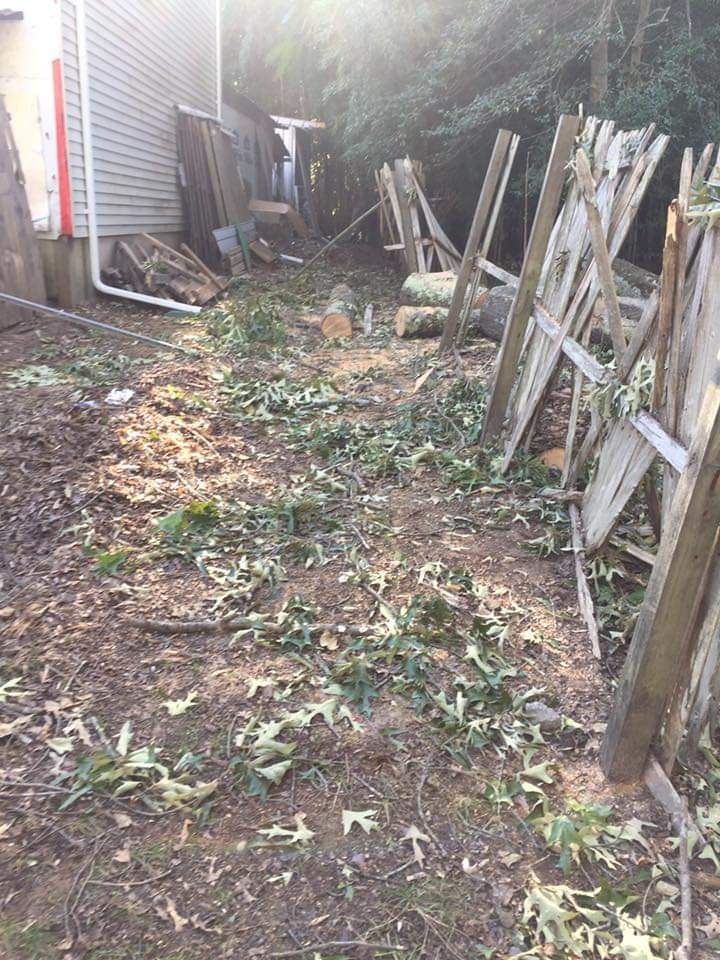 Narrow backyard path covered with leaves and debris, bordered by a house and leaning wooden fence panels.