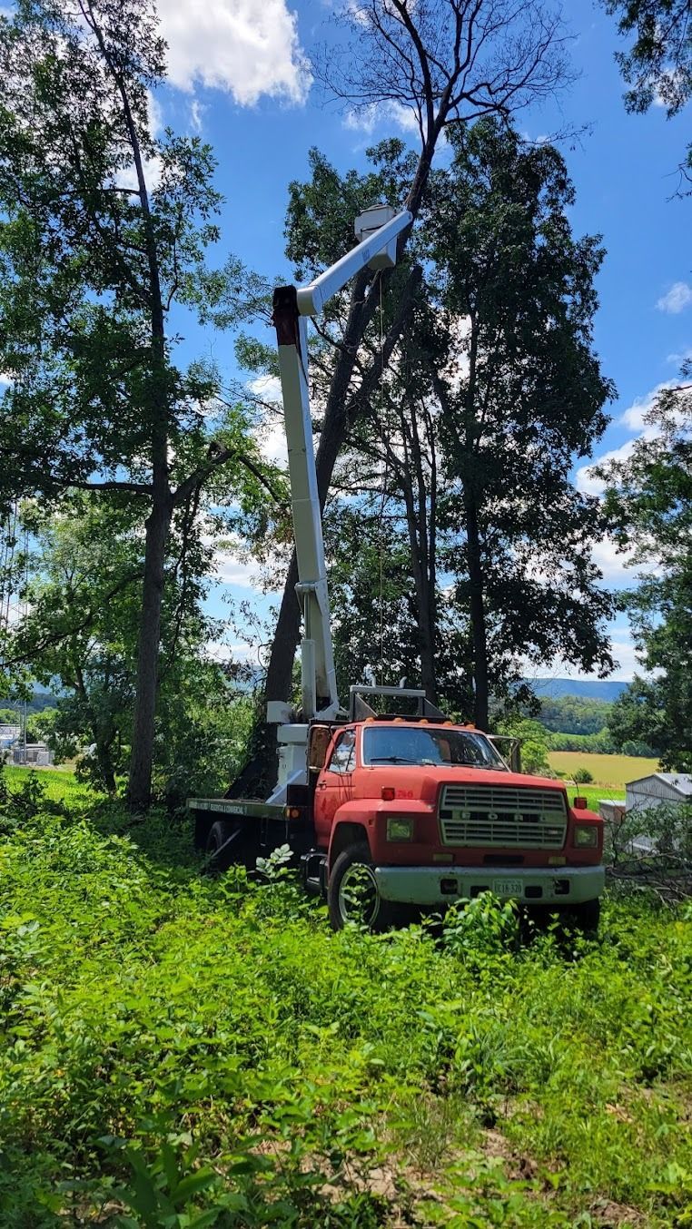 Orange utility truck with bucket lift working among tall trees in a grassy rural area