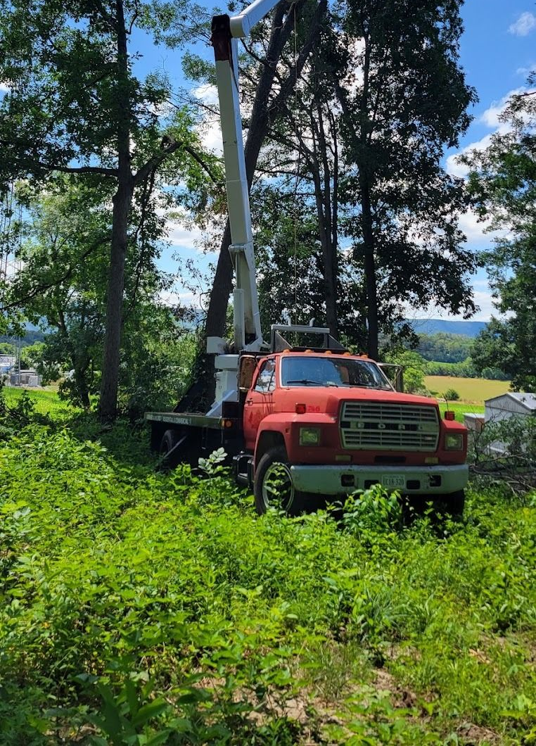 Orange utility truck with raised boom parked in a grassy wooded area under a blue sky