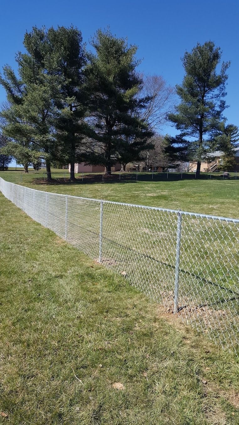 Chain-link fence along a grassy field with tall trees under a clear blue sky
