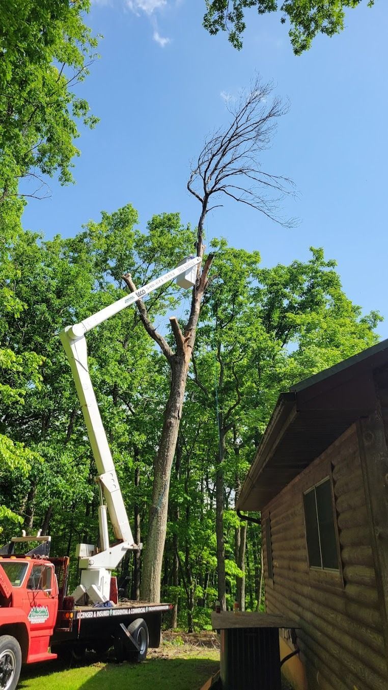 Cherry picker lifting a tall dead tree beside a cabin in a wooded yard