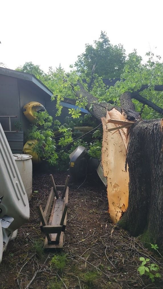A backyard with a fallen tree, debris, and a shed beside a fence after storm damage.