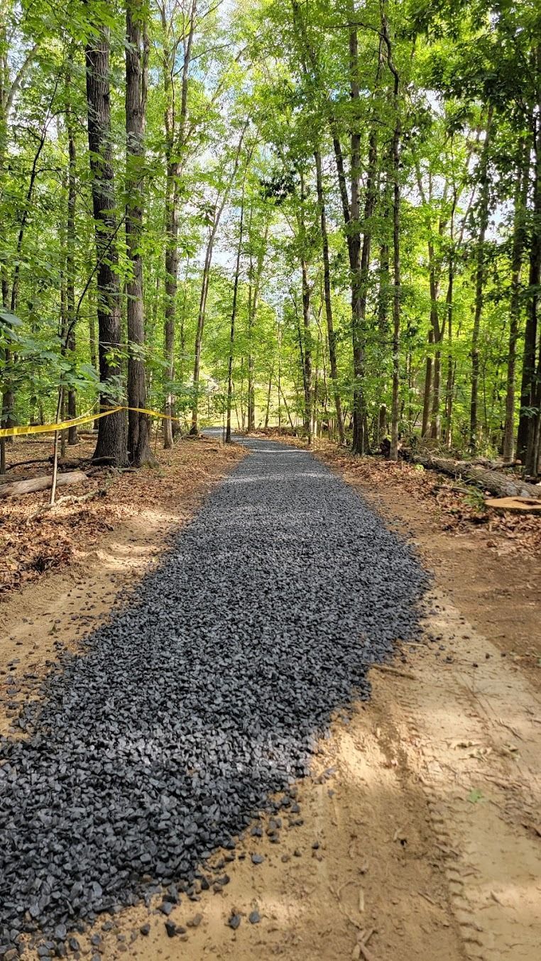 Gravel path through a green forest, with trees lining both sides.