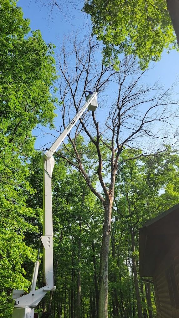White boom lift reaching toward bare tree branches in a green wooded area beside a building