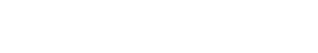 standard tire service logo