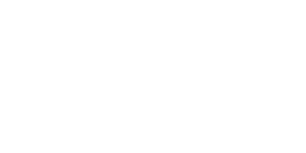 RADISSON HOTELS LOGO
