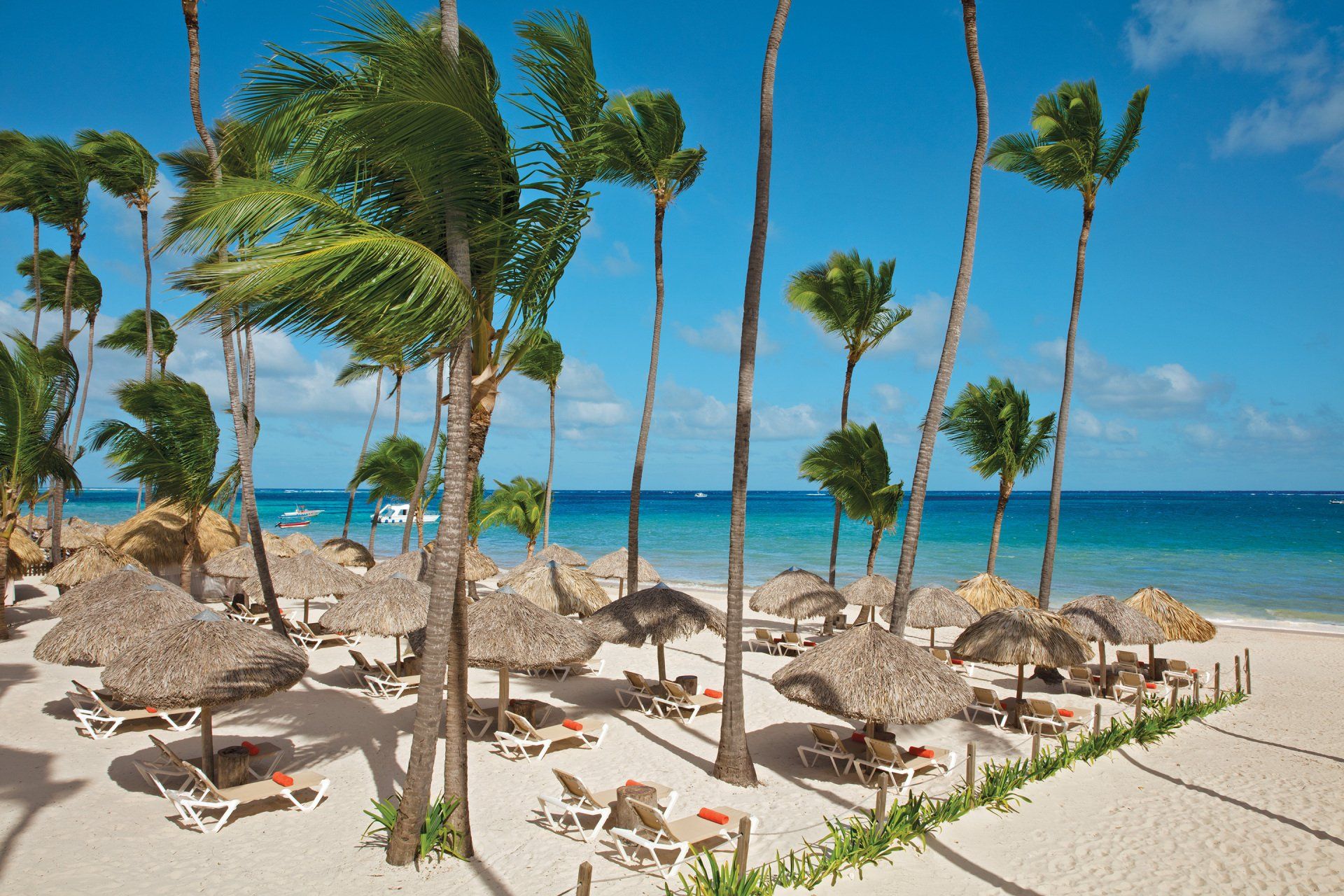 Una playa con palmeras, sillas y sombrillas
