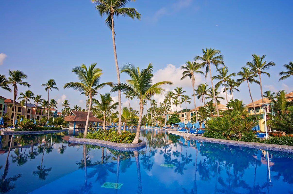 Una gran piscina rodeada de palmeras y edificios