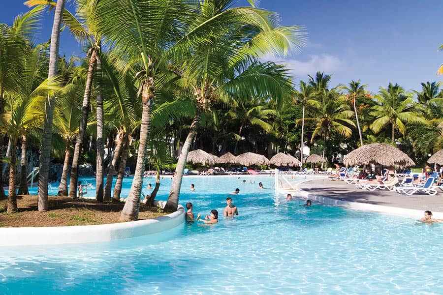 Un grupo de personas nada en una gran piscina rodeada de palmeras.