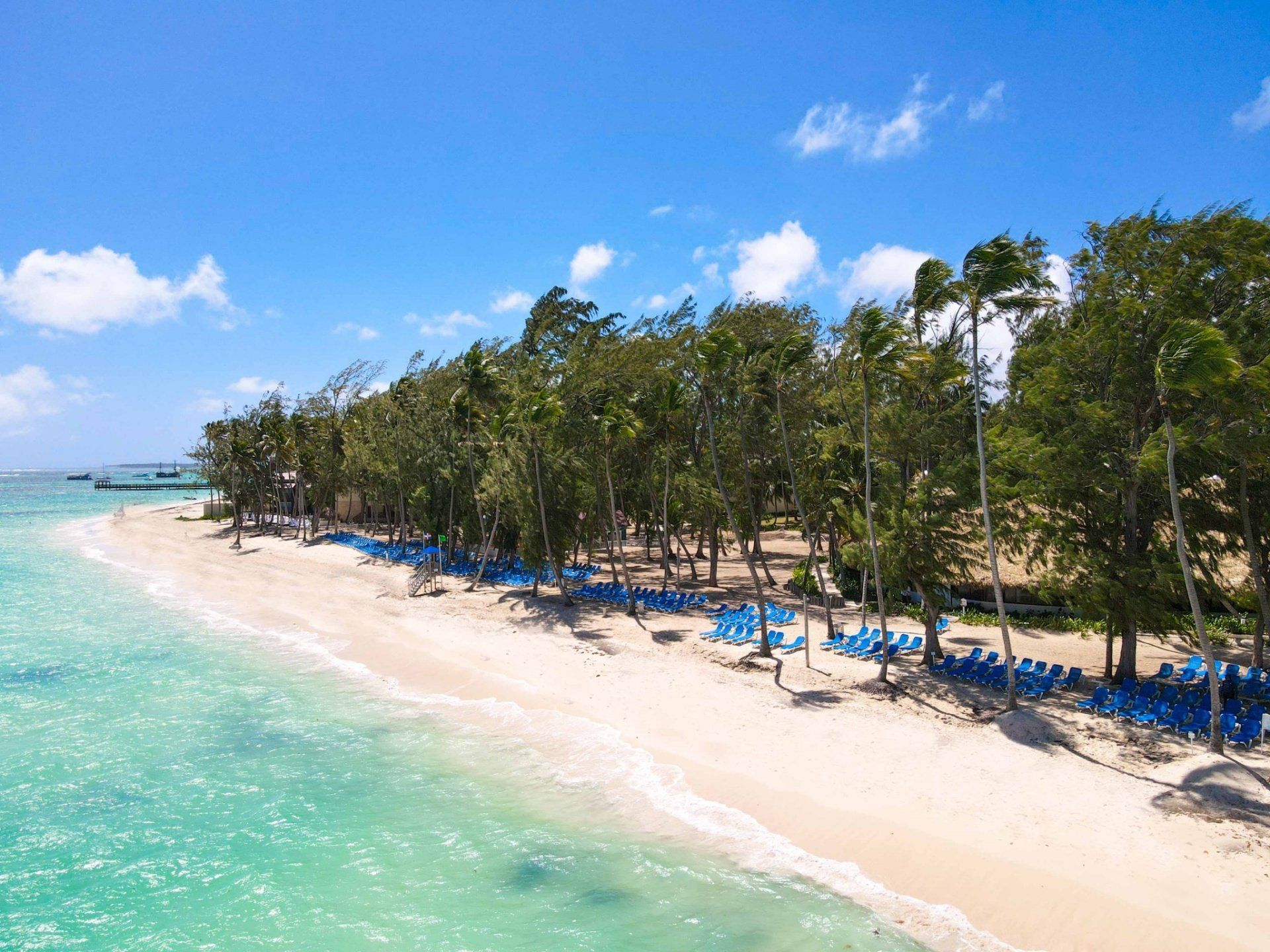 Una vista aérea de una playa tropical con palmeras y sillas azules.