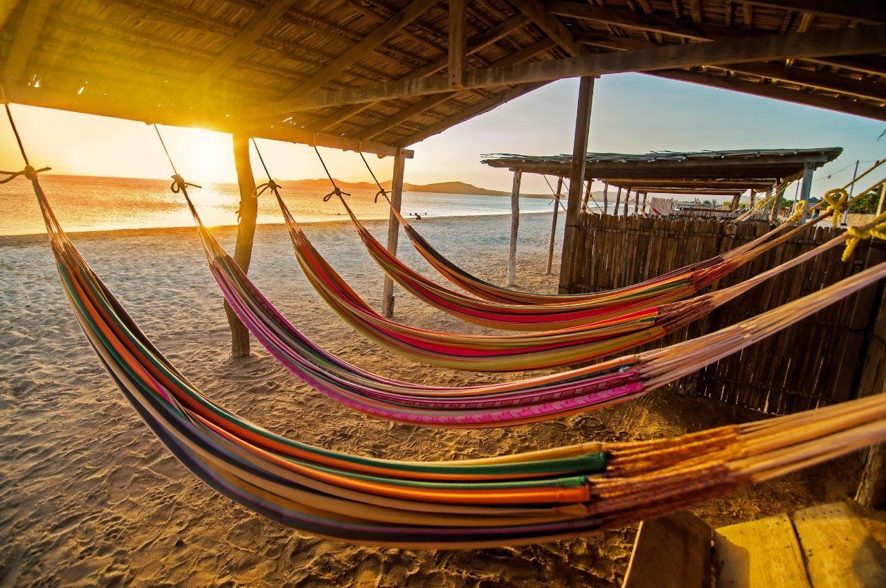 Una hilera de coloridas hamacas colgadas en una playa al atardecer.