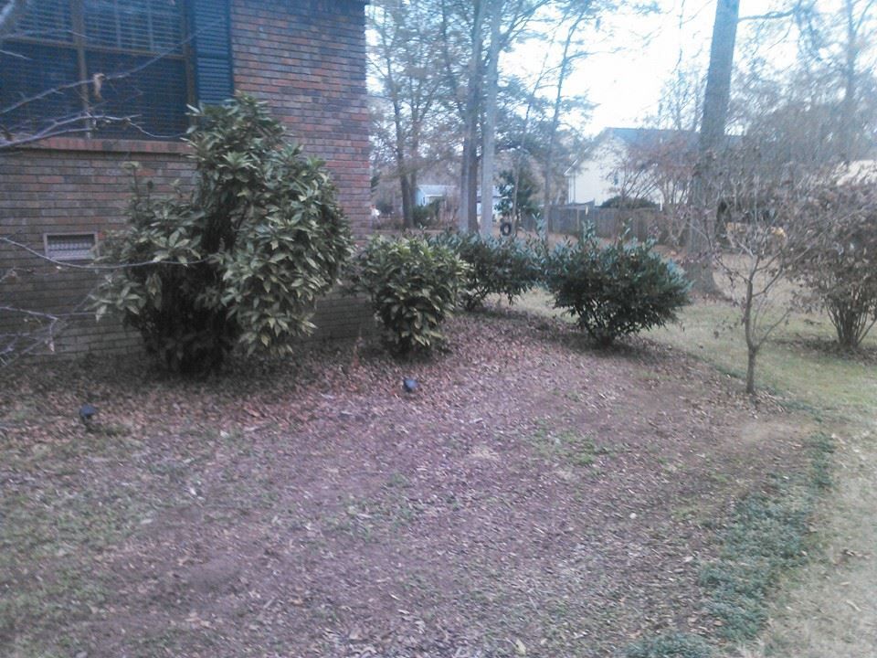 A brick house with a lot of bushes in front of it.