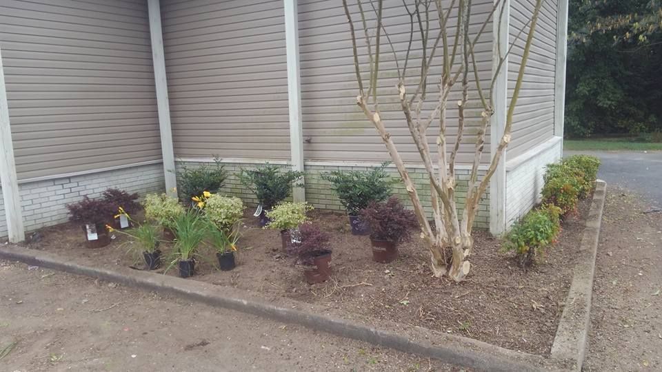 A row of potted plants are sitting in front of a building.