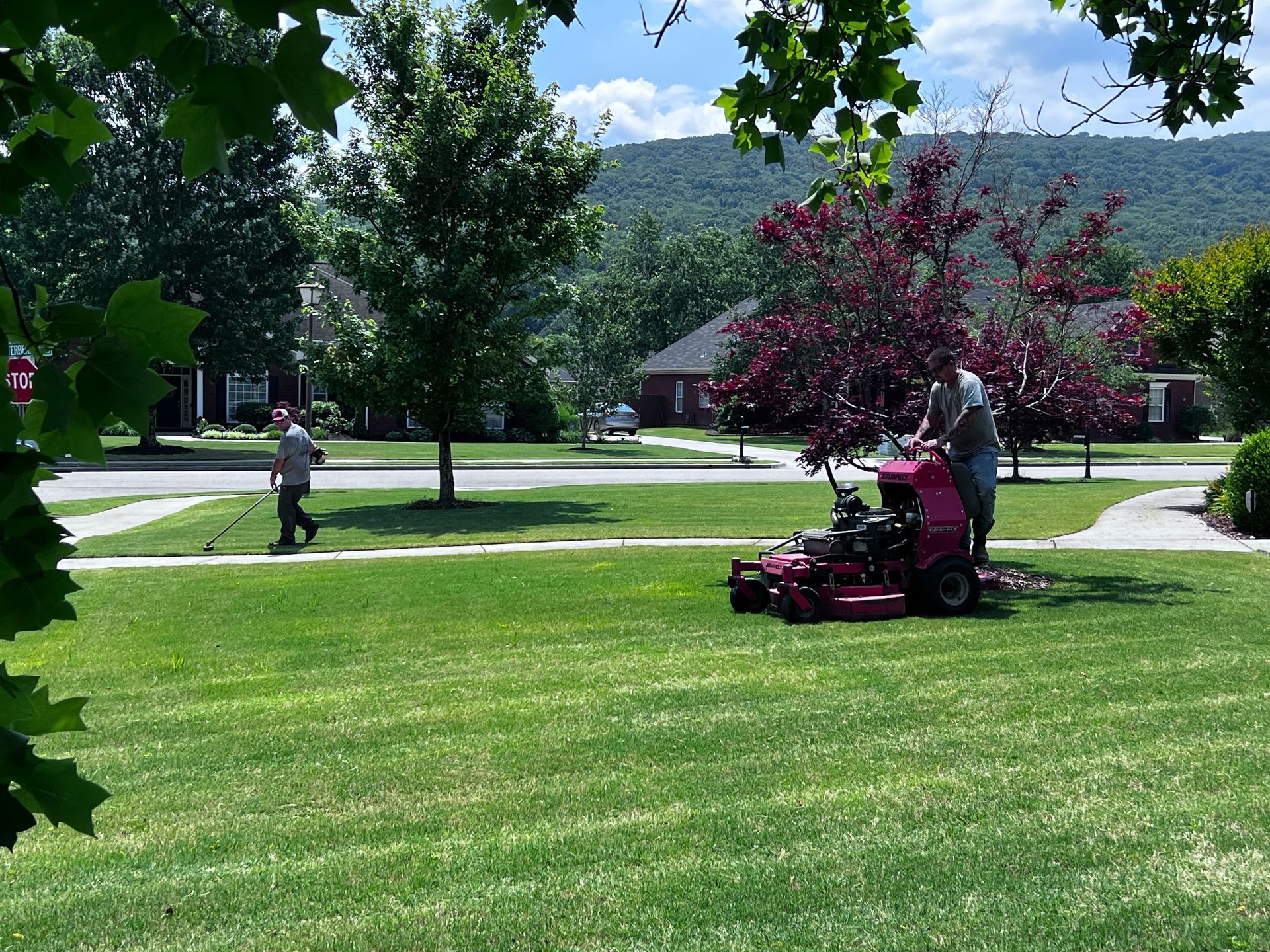A man is mowing a lush green lawn with a red lawn mower
