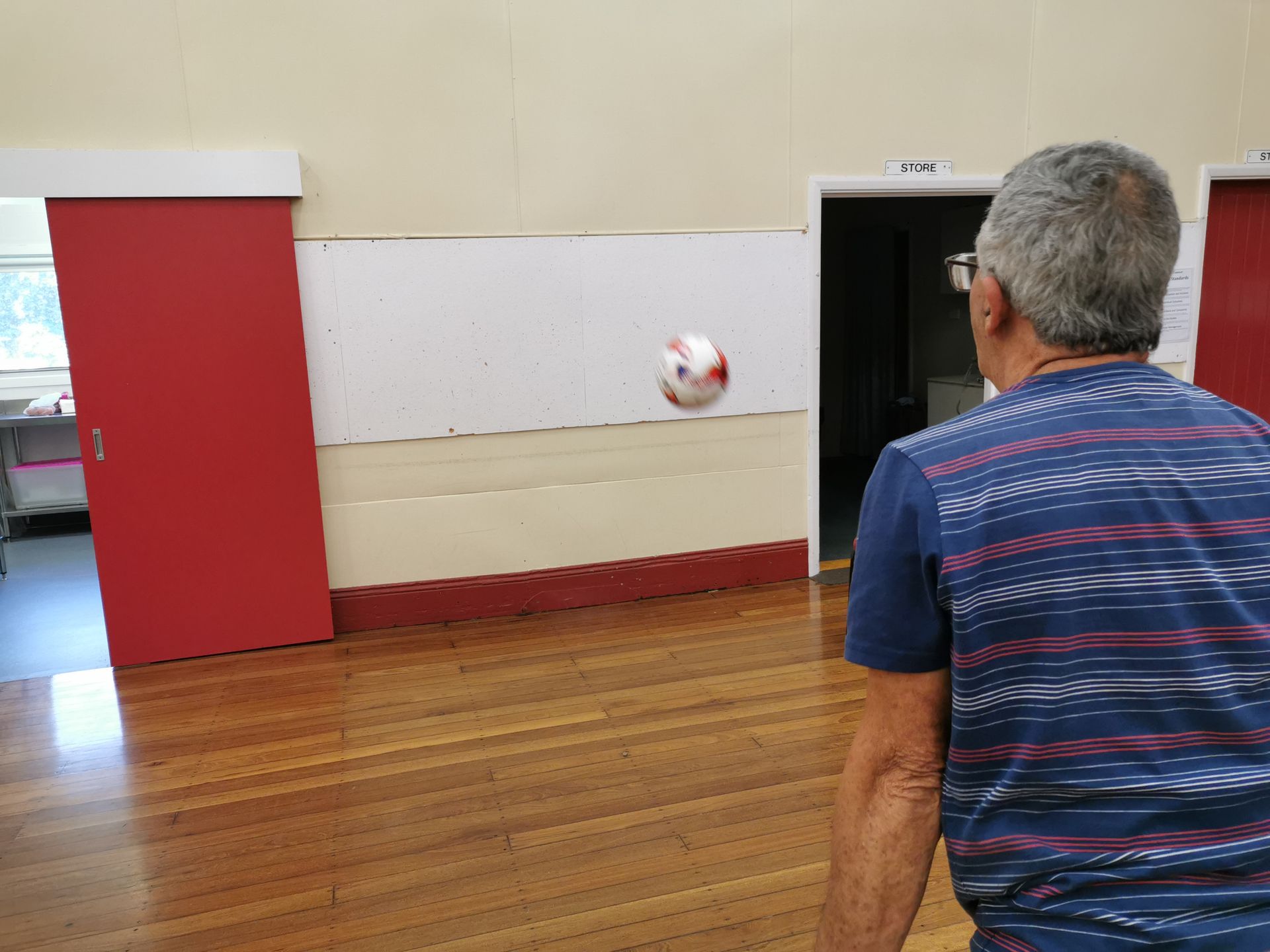 Man in striped shirt throws a ball in a room  —True Form Fitness In Gwandalan, NSW