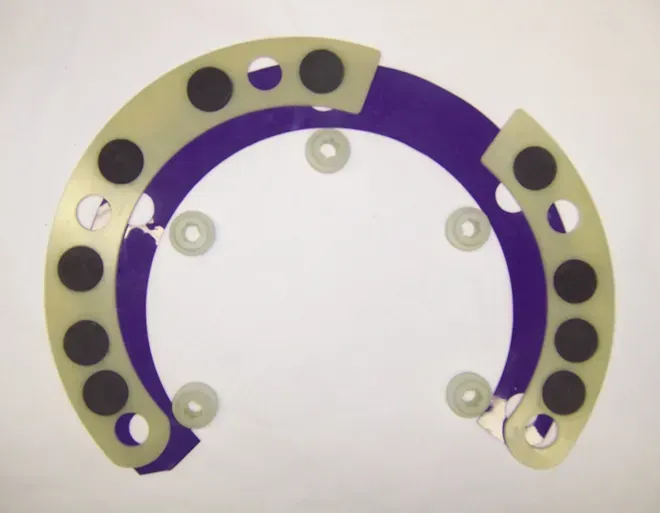 Carbon Shoe System