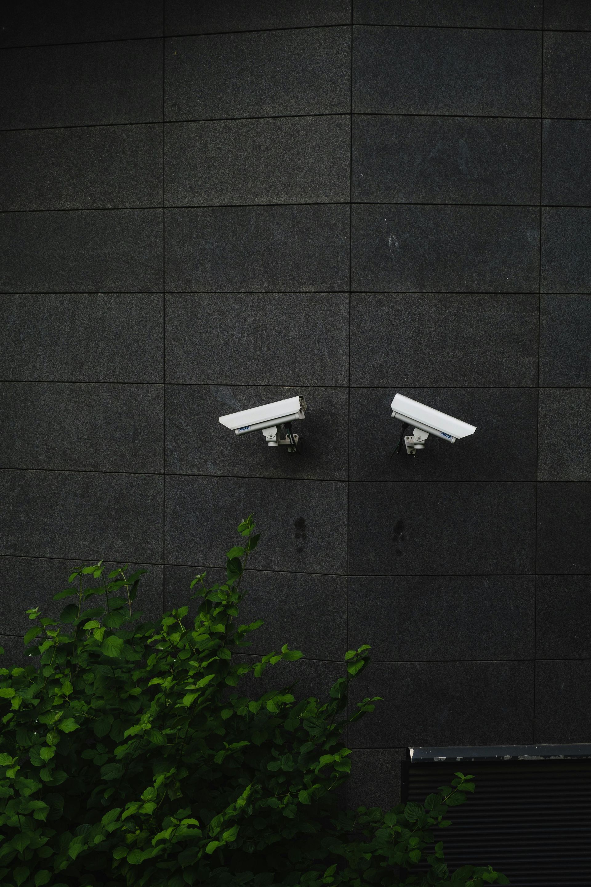 Two security cameras mounted on a dark, tiled building facade. Green leaves in the foreground.
