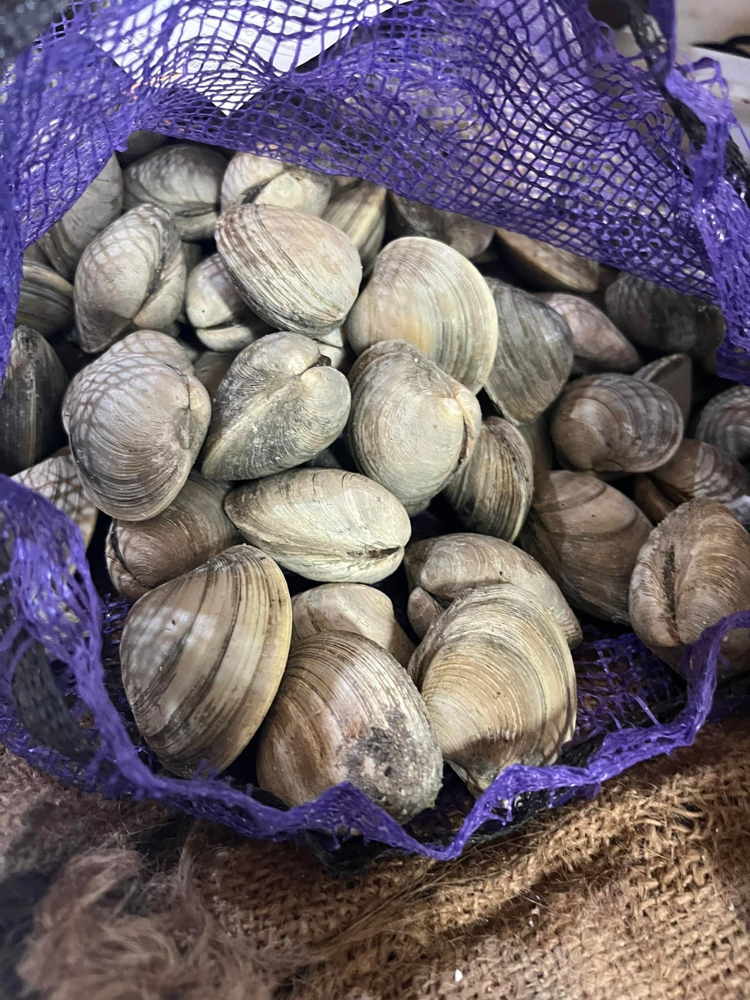 Captain Jim'S Seafood Market Restaurant - 8l3zp3h