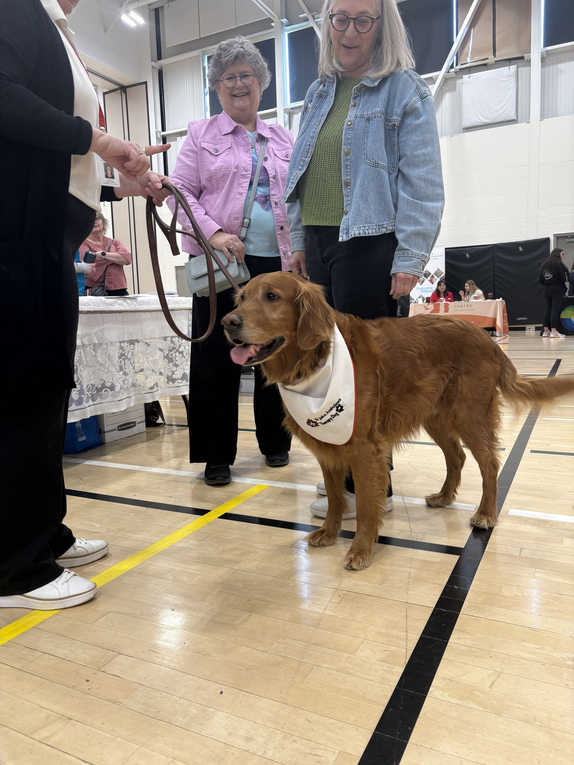 Brown dog wearing a white bandana stands on a leash in an indoor event hall with two people nearby.