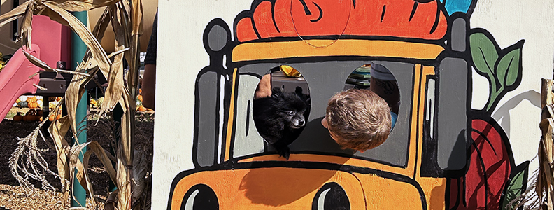 Two birds sit in painted truck windows; one black, one brown. Orange truck is on a white wall by corn stalks.