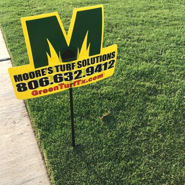 Lawn Pest Control in Lubbock, TX Lawn Pest Control in Lubbock, TX