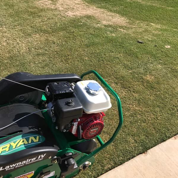 Weed Control in Lubbock, TX