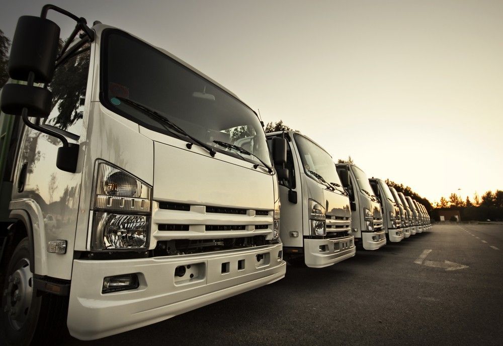 A Row of White Trucks Are Parked — JEC Transport in Winnellie, NT