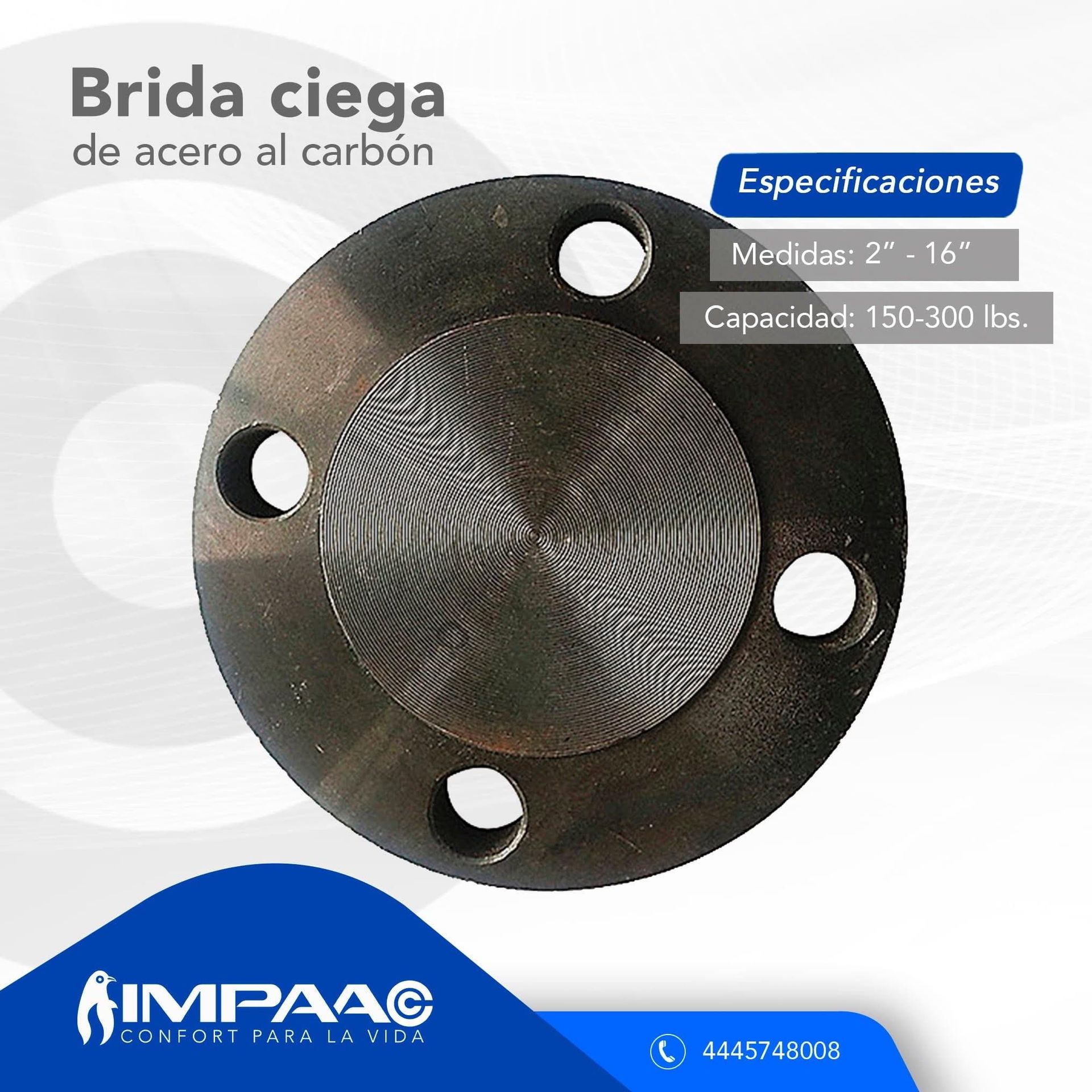 Una brida ciega de acero al carbono con acabado metálico oscuro, forma circular, orificios para pernos y detalles del producto en el fondo.