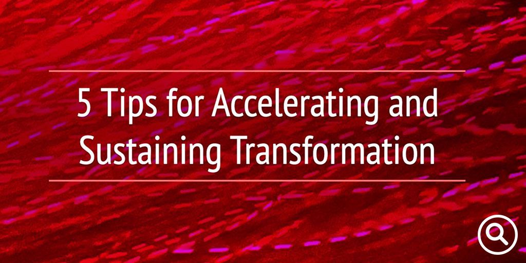 Organizational Transformation and the 100-Foot Wave