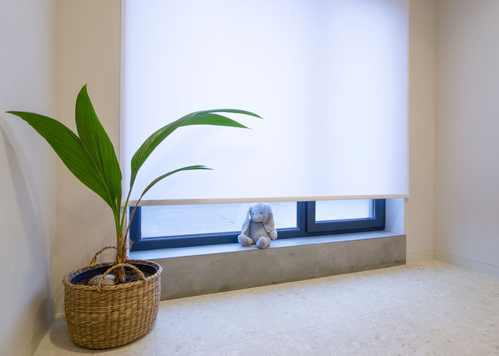 White motorized roller blinds covering a large window above a concrete windowsill. White motorized roller blinds covering a large window above a concrete windowsill.