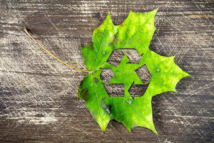 Una hoja verde con un símbolo de reciclaje recortado está sobre una mesa de madera.
