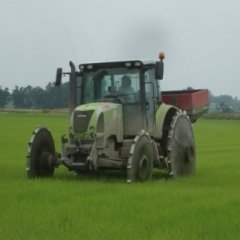 Trattore con ruote grandi in movimento in un campo verde, forse una risaia. Cielo nuvoloso.