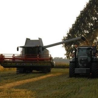 Una mietitrebbia scarica il grano su un rimorchio in un campo.