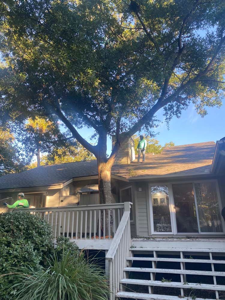 Gallery | Complete Tree Service | Ravenel, Charleston & Summerville, SC