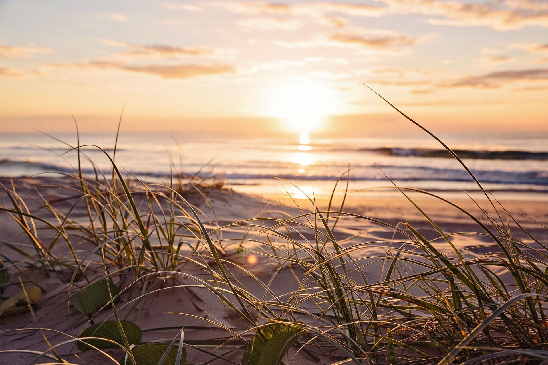 Sunrise over sandy beach with grasses in the foreground; ocean waves, golden light.